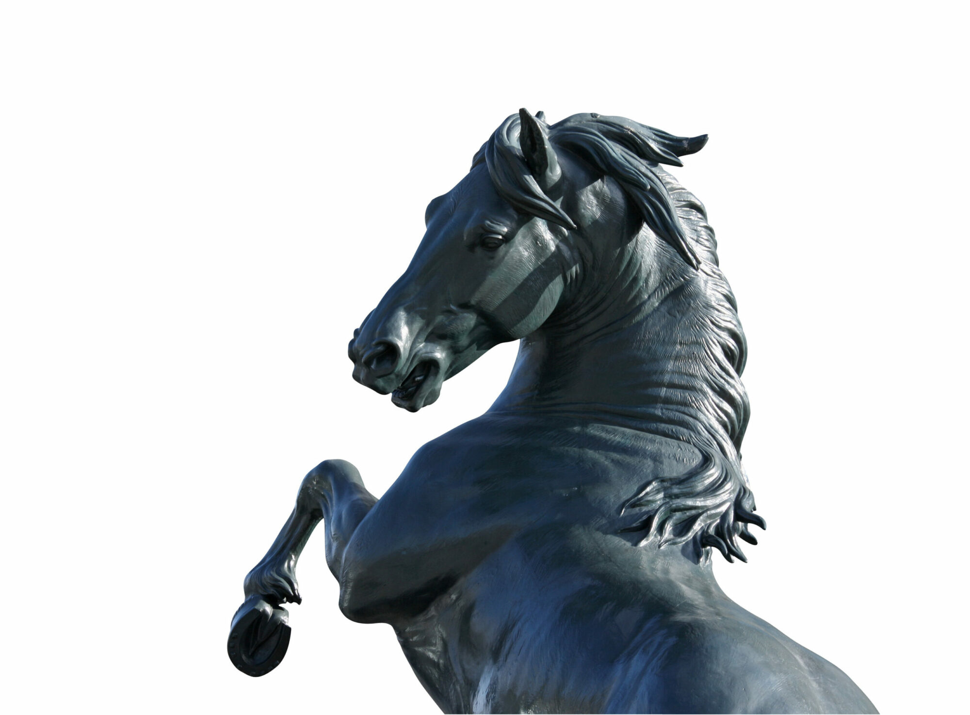cheval de bronze visuel cheval de bronze 22 scaled jpg